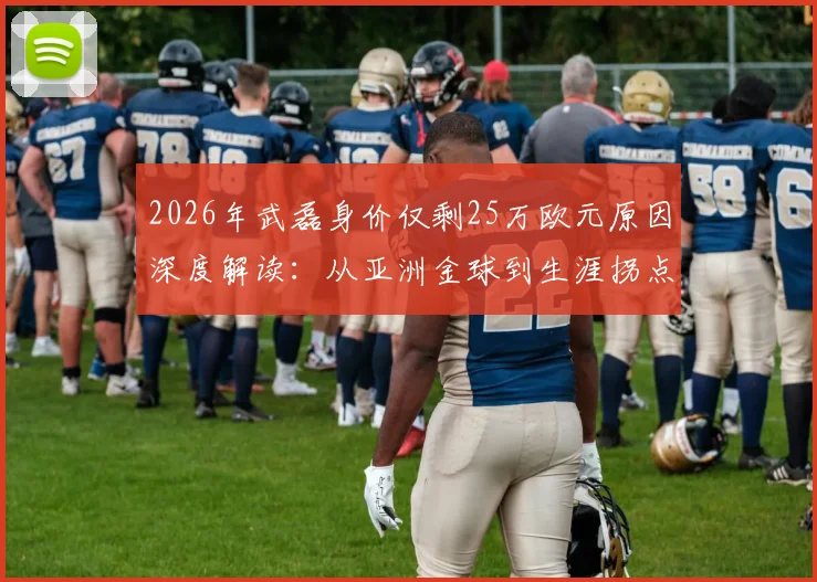2026年武磊身价仅剩25万欧元原因深度解读：从亚洲金球到生涯拐点，附中超本土球员身价最新排名