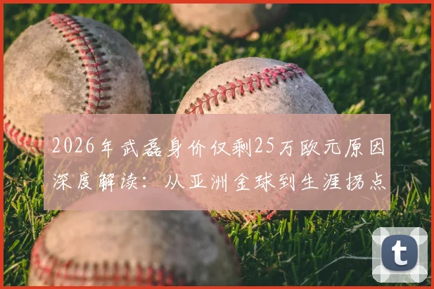 2026年武磊身价仅剩25万欧元原因深度解读：从亚洲金球到生涯拐点，附中超本土球员身价最新排名